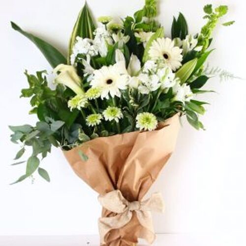 Brown Kraft, White Newsprint