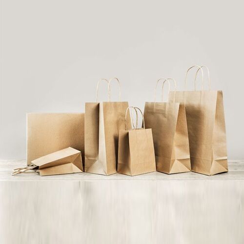 Paper Carry Bags