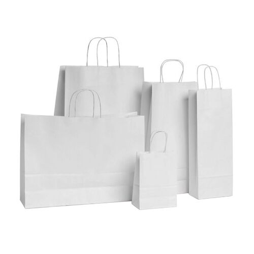 Paper Carry Bags
