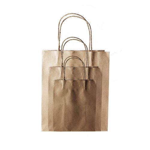 Paper Carry Bags